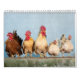 Chaotic Chicken Portraits 2024 Kalender (Rückseite)