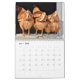 Chaotic Chicken Portraits 2024 Kalender (Jun 2025)