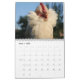 Chaotic Chicken Portraits 2024 Kalender (Mär 2025)
