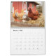 Chaotic Chicken Portraits 2024 Kalender (Feb 2025)