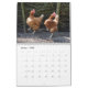 Chaotic Chicken Portraits 2024 Kalender (Jan 2025)
