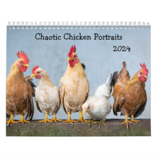 Chaotic Chicken Portraits 2024 Kalender