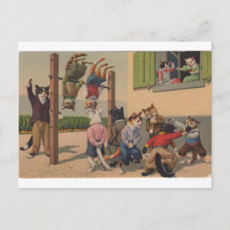 Chaotische Katzen, Gymnastikklammer, Repro Postcar Postkarte