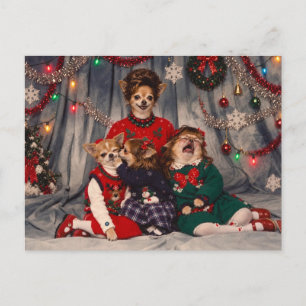Chaotisches Retro-Chihuahua-Weihnachtsfamilienport Postkarte