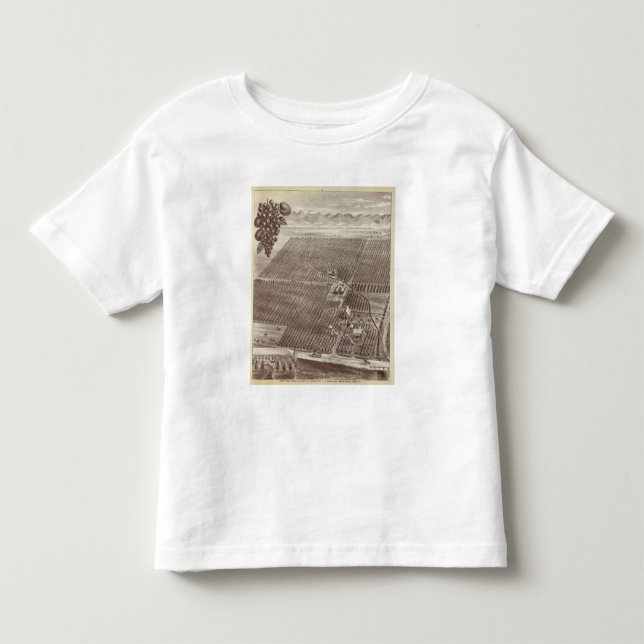 Chapin Frucht-Ranch Kleinkind T-shirt (Vorderseite)