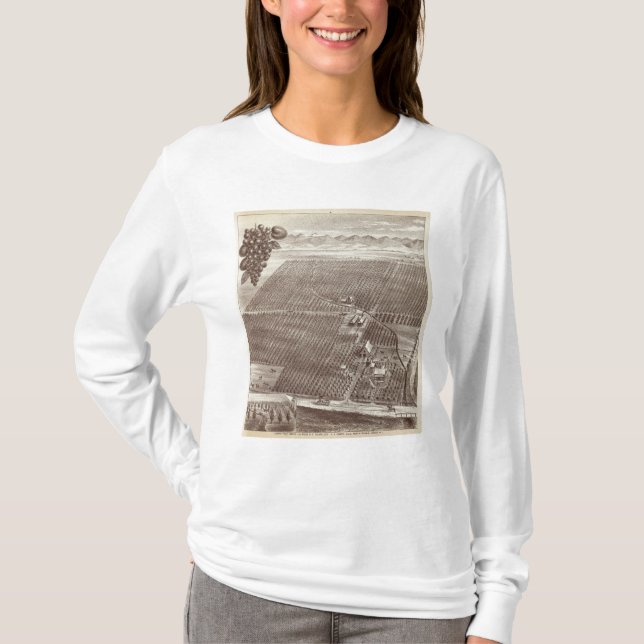 Chapin Frucht-Ranch T-Shirt (Vorderseite)