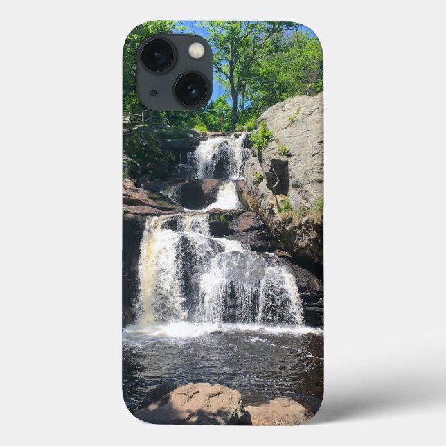 Chapman Falls iPhone Cases (Rückseite)