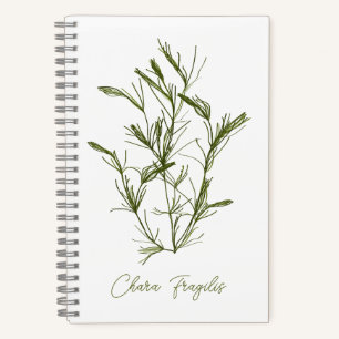 Chara Fragilis Meer-Inspiriert Notizbuch