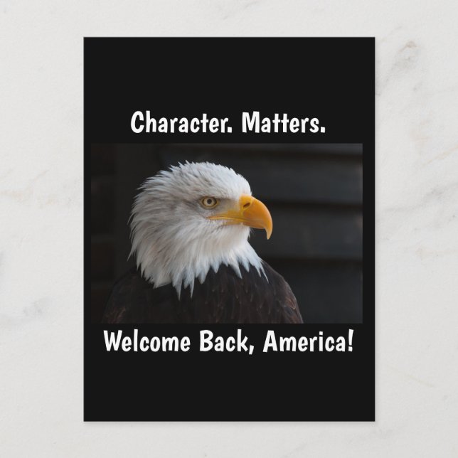 Character Matters USA Eagle Postkarte (Vorderseite)