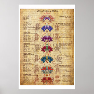 Charakteristika der Chakras Yoga Art Print Poster