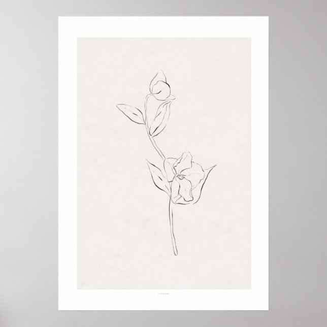Charcoal Floral Print 'Helleborum' Poster (Vorne)