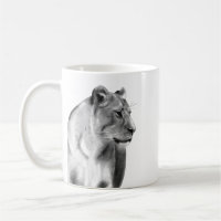 Charcoal Sketch Lioness Female Lion