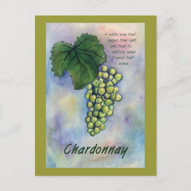 Chardonnay Weintrauben & Beschreibung Postkarte (Vorderseite)