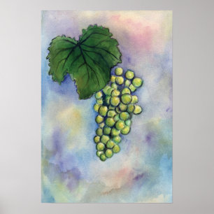Chardonnay Weintrauben Poster