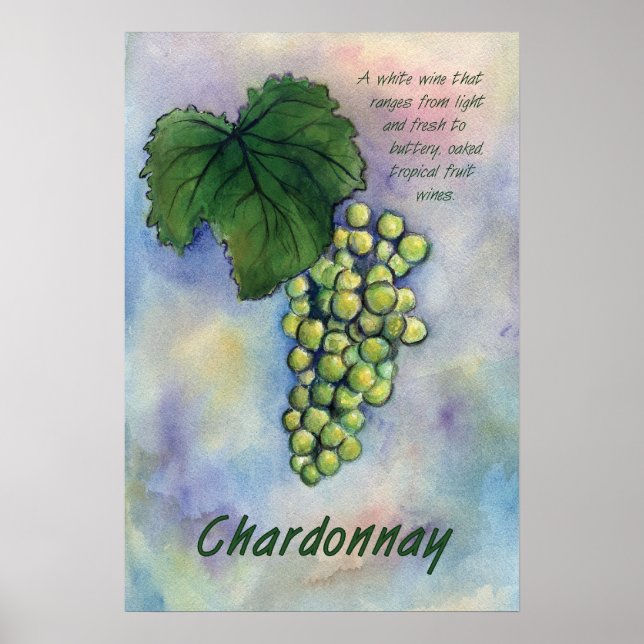 Chardonnay Weißer Wein Weintrauben Poster (Vorne)