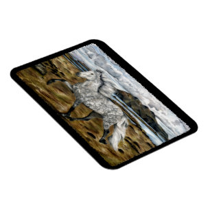 Charismatisches Islandpferd Magnet