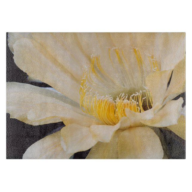 Charlemagne Echinopsis in Blüte Schneidebrett (Vorderseite)