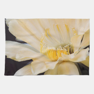 Charlemagne Echinopsis Kaktusblüte Geschirrtuch