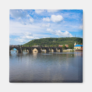 Charles Brige Magnet