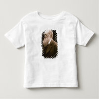 Charles Darwin (1809-82) (Foto)