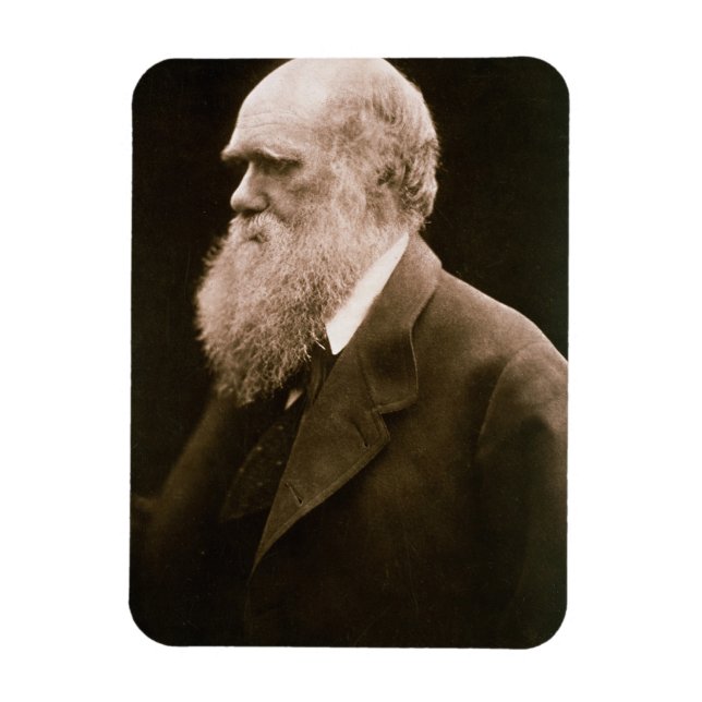 Charles Darwin (1809-82) (Foto) Magnet (Vertikal)