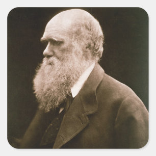 Charles Darwin (1809-82) (Foto) Quadratischer Aufkleber