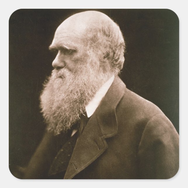 Charles Darwin (1809-82) (Foto) Quadratischer Aufkleber (Vorderseite)