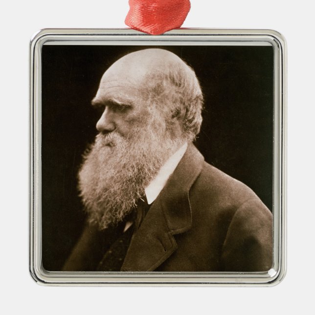 Charles Darwin (1809-82) (Foto) Silbernes Ornament (Vorne)