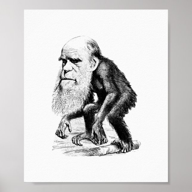 Charles Darwin als Ape Poster (Vorne)