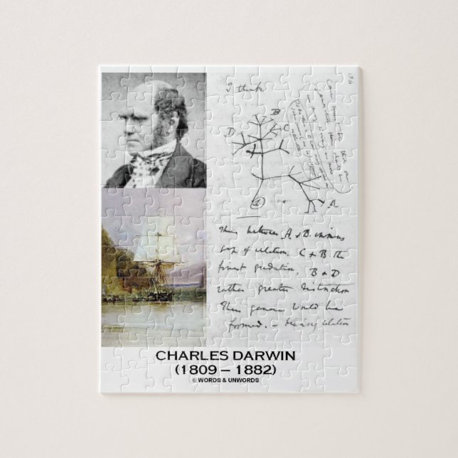 Charles Darwin (Beagle Phylogenetics Darwin HMS) Puzzle (Vertikal)