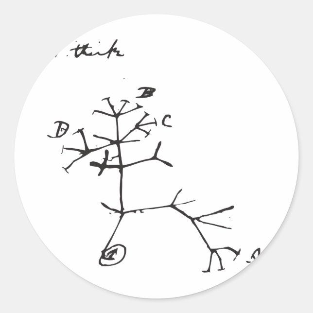 Charles Darwin - I Think (schwarz) Runder Aufkleber (Vorderseite)