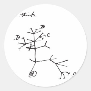 Charles Darwin - ich denke (Schwarzes) Runder Aufkleber