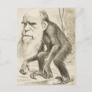 Charles Darwin Original Illustration Postkarte