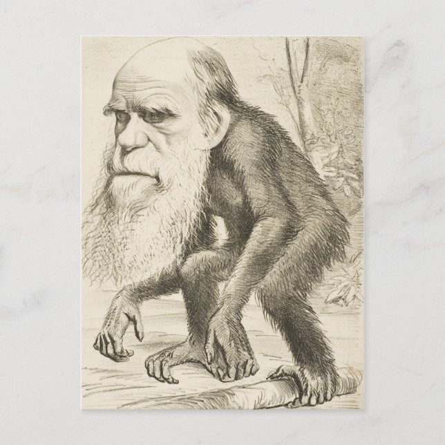 Charles Darwin Original Illustration Postkarte (Vorderseite)