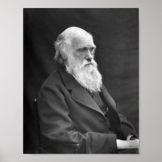 Charles Darwin Portrait - 1874 Poster (Vorne)