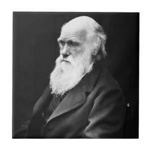 Charles Darwin Portrait Fliese