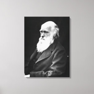 Charles Darwin Portrait Leinwanddruck