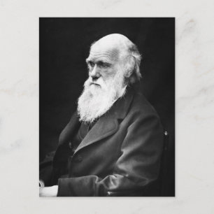 Charles-Darwin-Porträt Postkarte