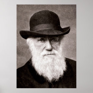 Charles Darwin Poster
