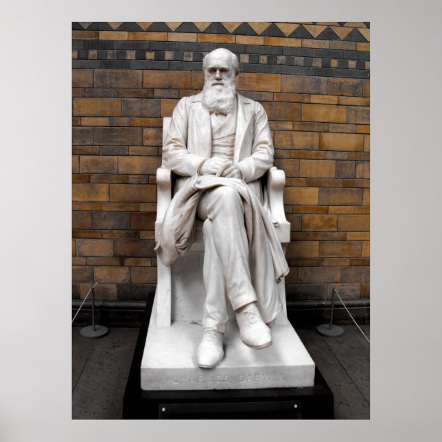 Charles Darwin Statue Poster (Vorne)