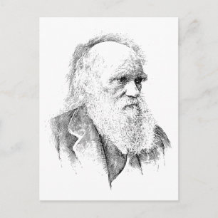 Charles Darwin, The Origin of Species 1872 Postkarte