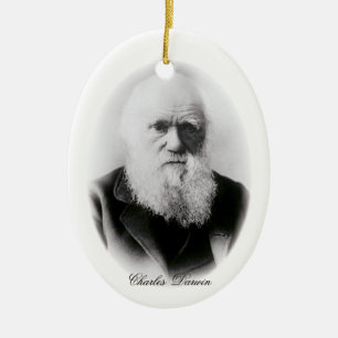 Charles Darwin Vignette Keramikornament