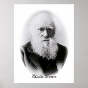 Charles Darwin Vignette Poster