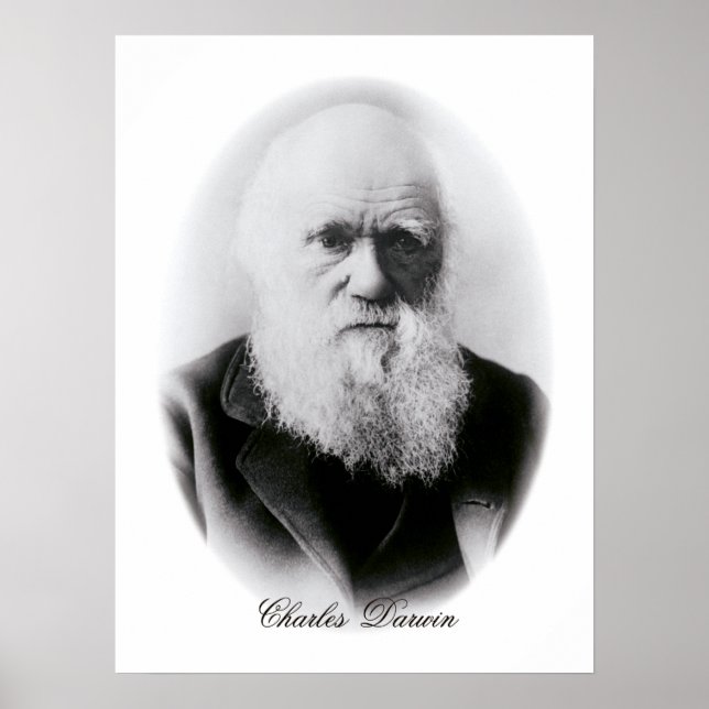 Charles Darwin Vignette Poster (Vorne)