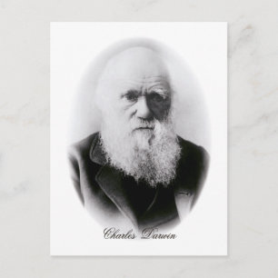 Charles Darwin Vignette Postkarte