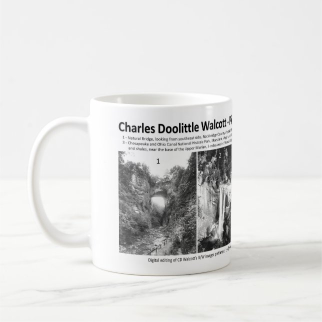 Charles Doolittle Walcott I - Vorangehen mit Tasse (Links)