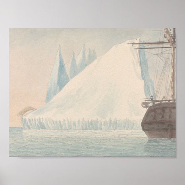 Charles Hamilton Smith - Ein Eisberg und ein Eisbä Poster (Vorne)