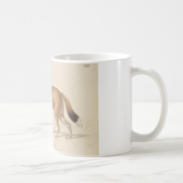Charles Hamilton Smith - Falkland Islands Wolf Kaffeetasse (Rechts)