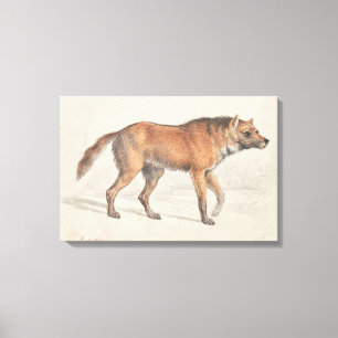 Charles Hamilton Smith - Maned Wolf Leinwanddruck
