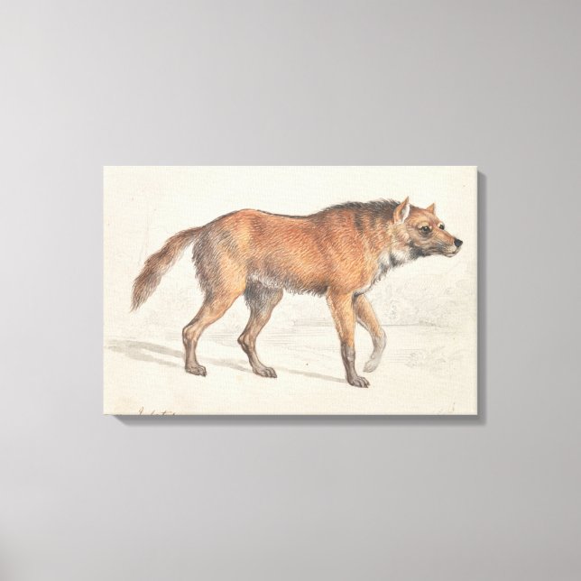 Charles Hamilton Smith - Maned Wolf Leinwanddruck (Vorderseite)